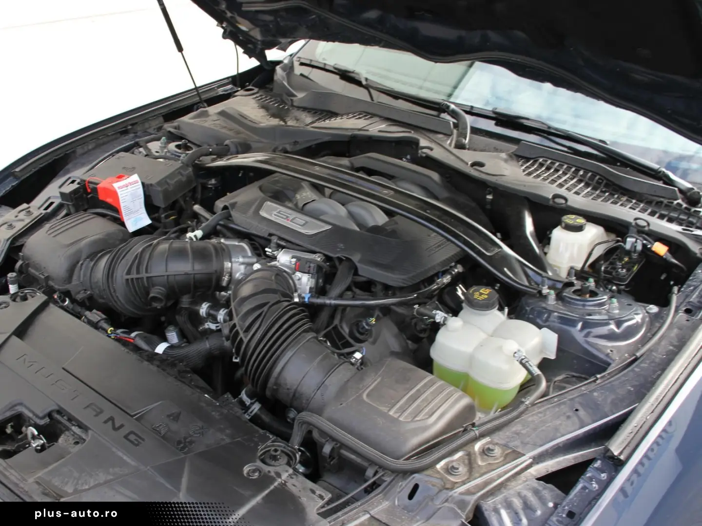 FORD Mustang 5.0 V8 Dark Horse Magne Ride Kamera 1.Hd