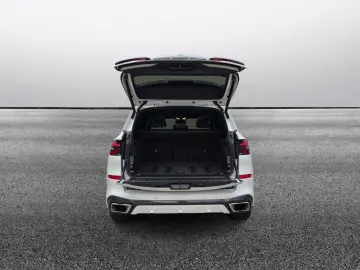 BMW X5 30d xDrive M SPORT Ventil ACC HUD 360 H&K