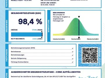 BYD Dolphin 60 KWh Comfort LED NAVI KAMERA