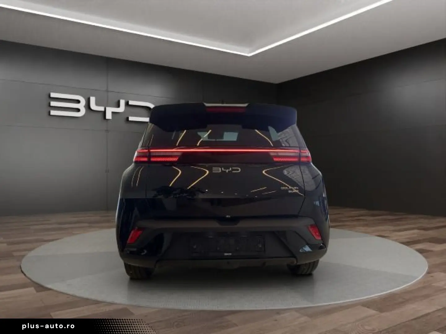 BYD Dolphin Surf Comfort Comfort  43 2KWh 310KM 360G