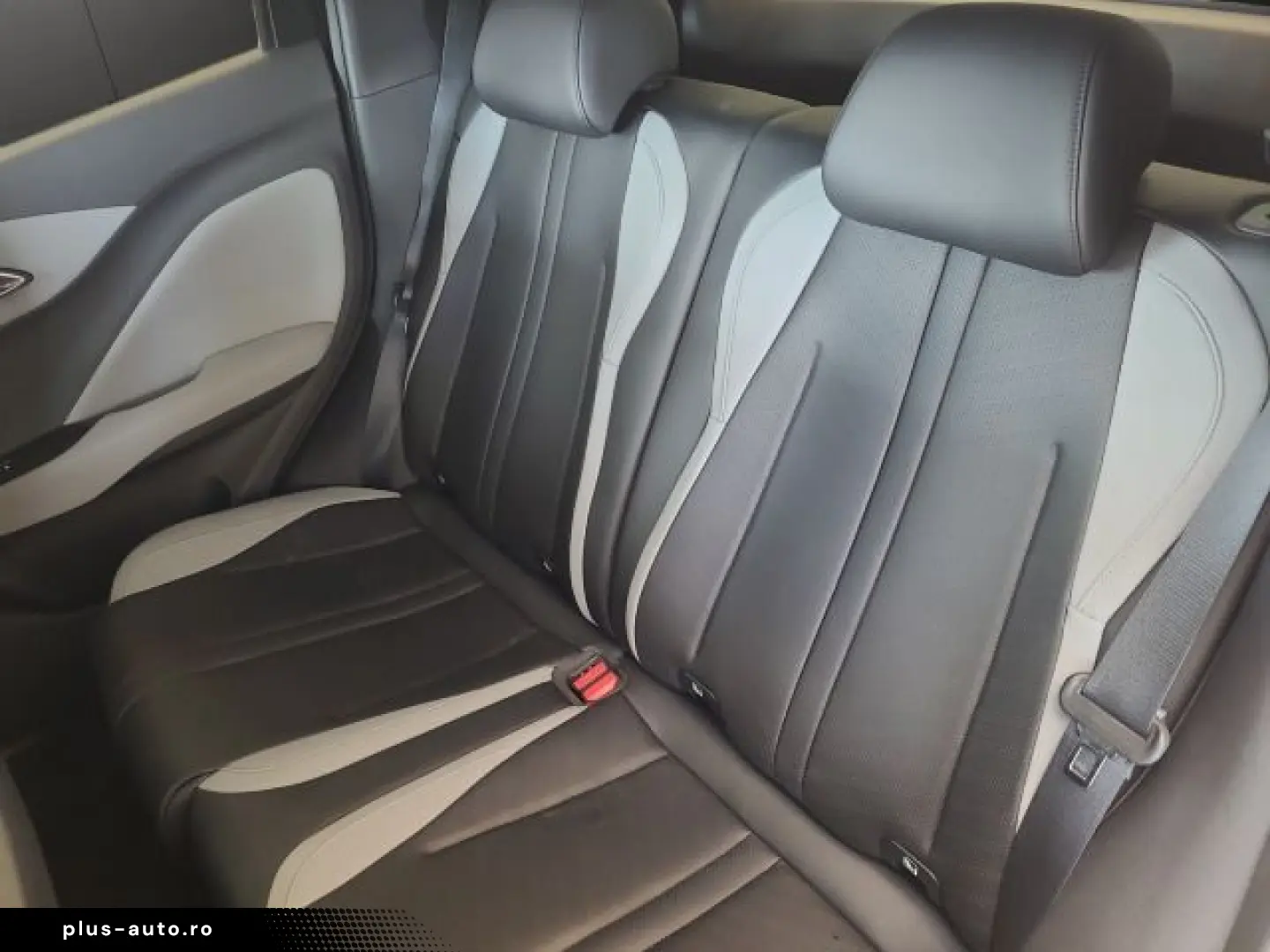 BYD Dolphin Surf Comfort Comfort  43 2KWh 310KM 360G