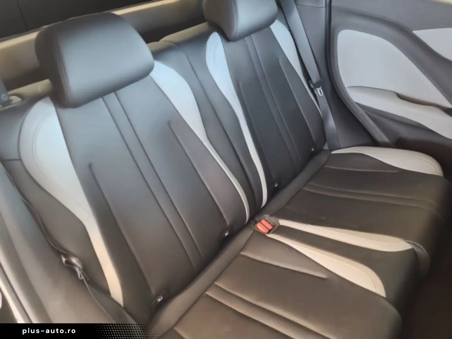 BYD Dolphin Surf Comfort Comfort  43 2KWh 310KM 360G