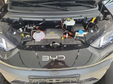 BYD Dolphin Surf Comfort Comfort  43 2KWh 310KM 360G