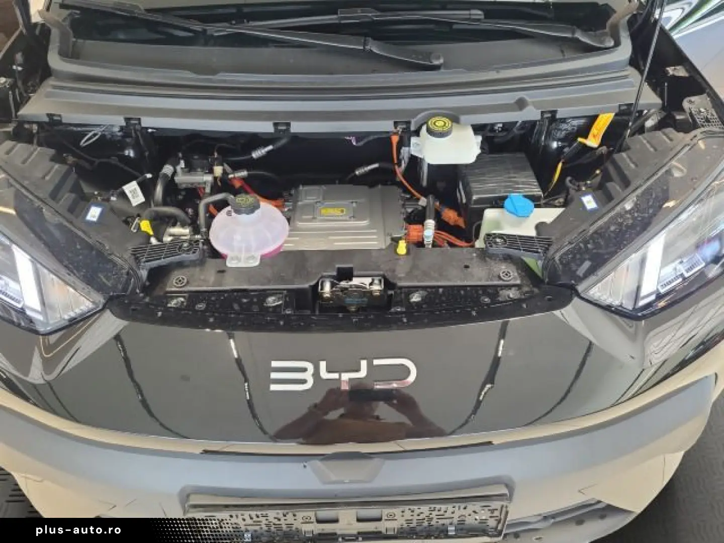 BYD Dolphin Surf Comfort Comfort  43 2KWh 310KM 360G