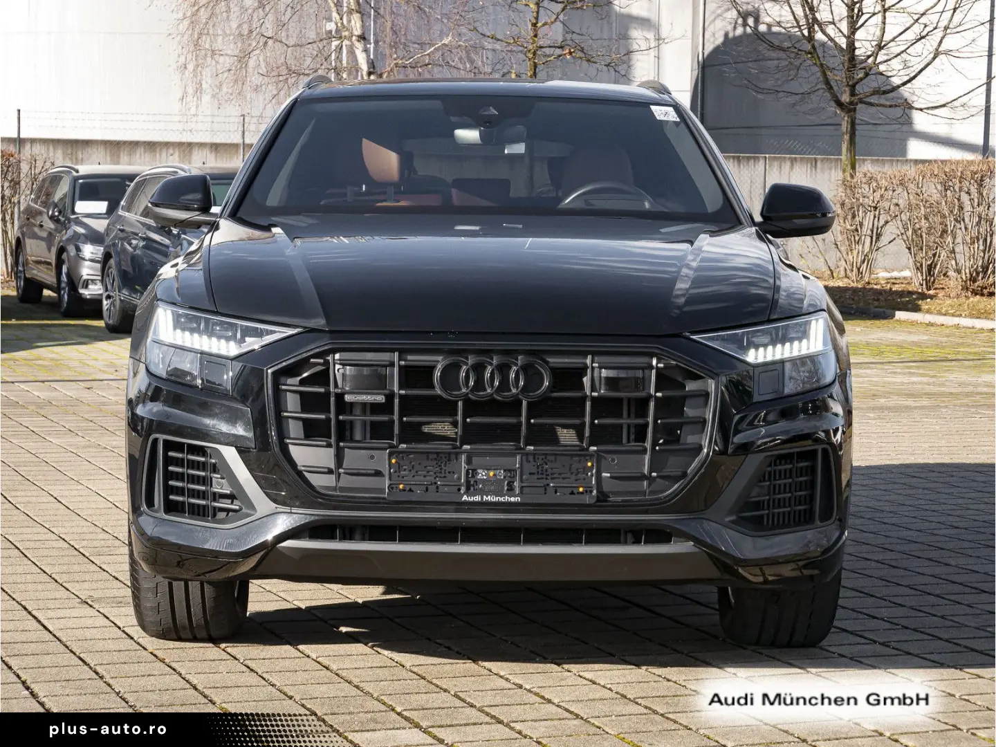 AUDI Q8 55 TFSI e ACC LuftFed HuD