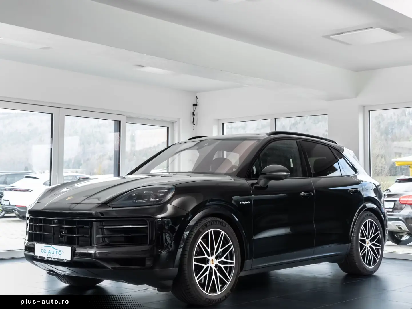 Porsche Cayenne E-Hybrid HA-Lenk HeadUp Luft