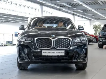 BMW X4 xDrive20i M Sport RFK NAVI LED PDC V H DAB