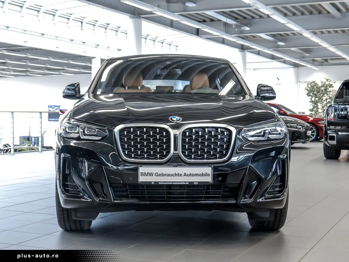 BMW X4 xDrive20i M Sport RFK NAVI LED PDC V H DAB