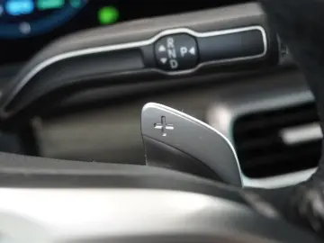 MERCEDES-BENZ GLE 300 d 4Matic AMG AHK DAB PANO MBUX