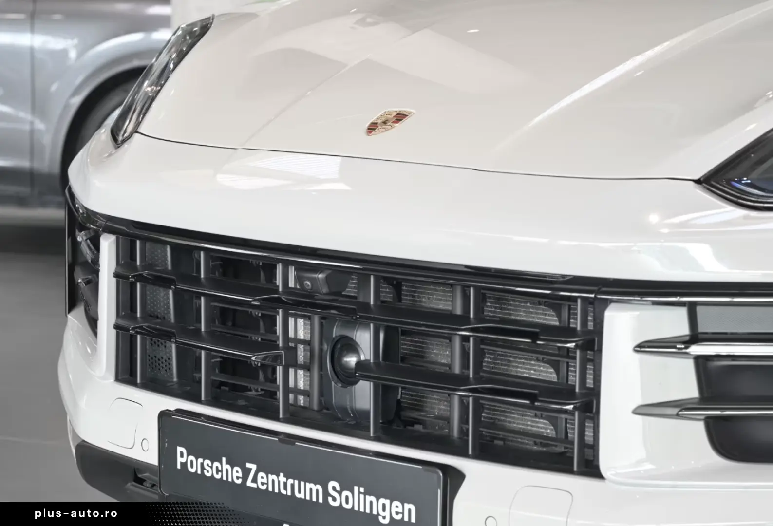 Porsche Cayenne E-Hybrid AHK PANO LUFT Bose