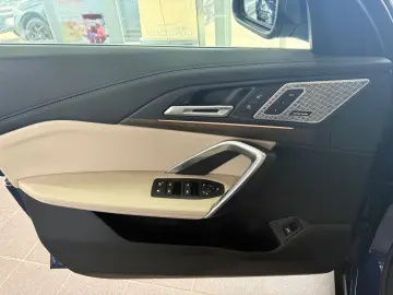 BMW X1 30e xD M Technic HaKa DAP HuD ParkPLUS Pano