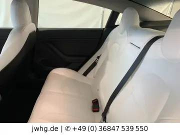 TESLA Model 3 Dual AWD Wärmep. Autopilot Pano Ryzen
