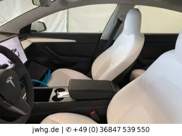 TESLA Model 3 Dual AWD Wärmep. Autopilot Pano Ryzen