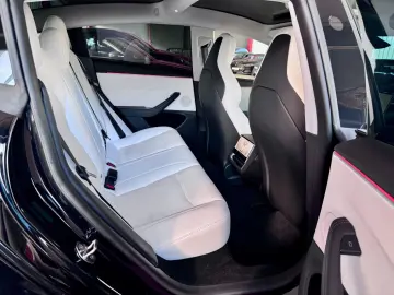 TESLA Model 3 Facelift Performance Dual AWD Steuer