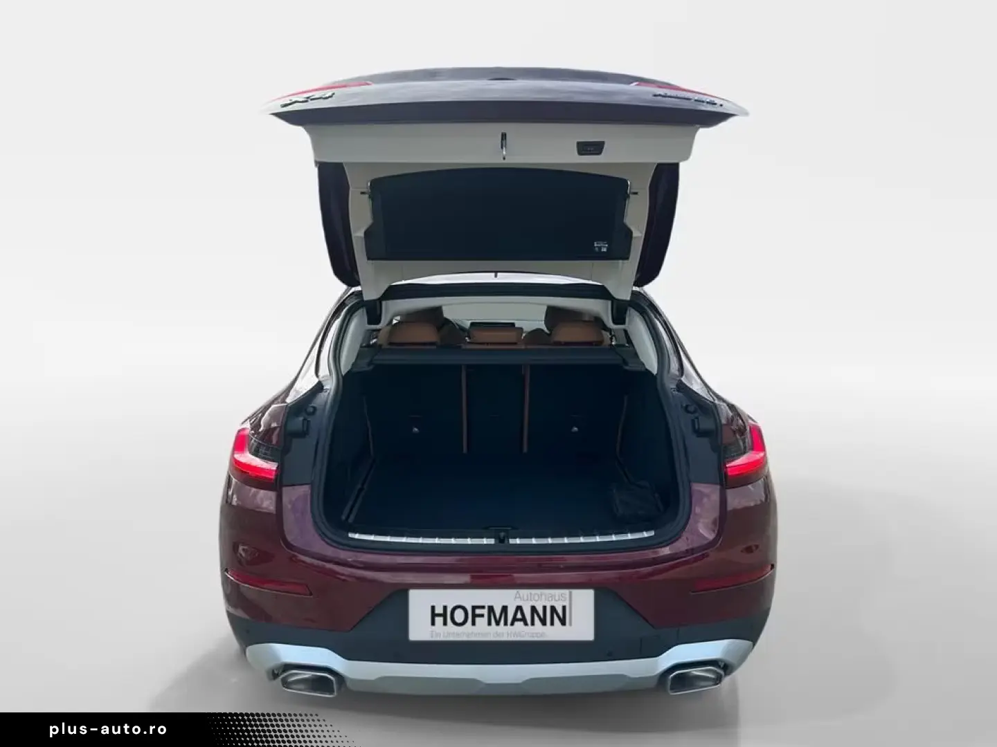 BMW X4 xDrive20i Aut. AHK Ambiente HiFi Adapt. LED