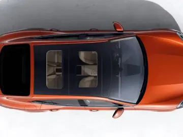 PORSCHE Panamera 4 Platinum Edition Sportabgas 21-Zoll