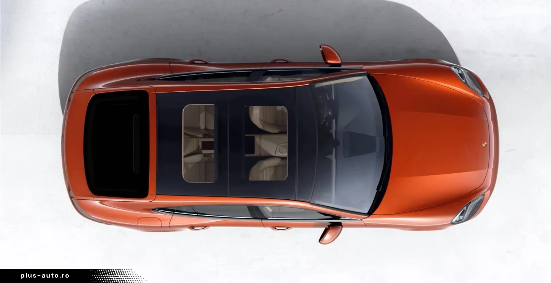 PORSCHE Panamera 4 Platinum Edition Sportabgas 21-Zoll