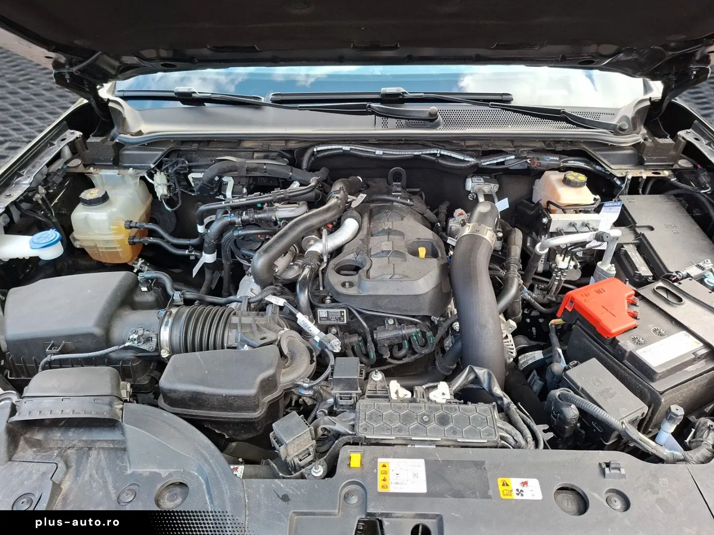 FORD Raptor e-4WD Doka Vollaussttg. Hardtop