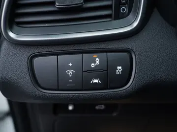 Kia Sorento 2.2 CRDi AWD Aut. Platinum Edition