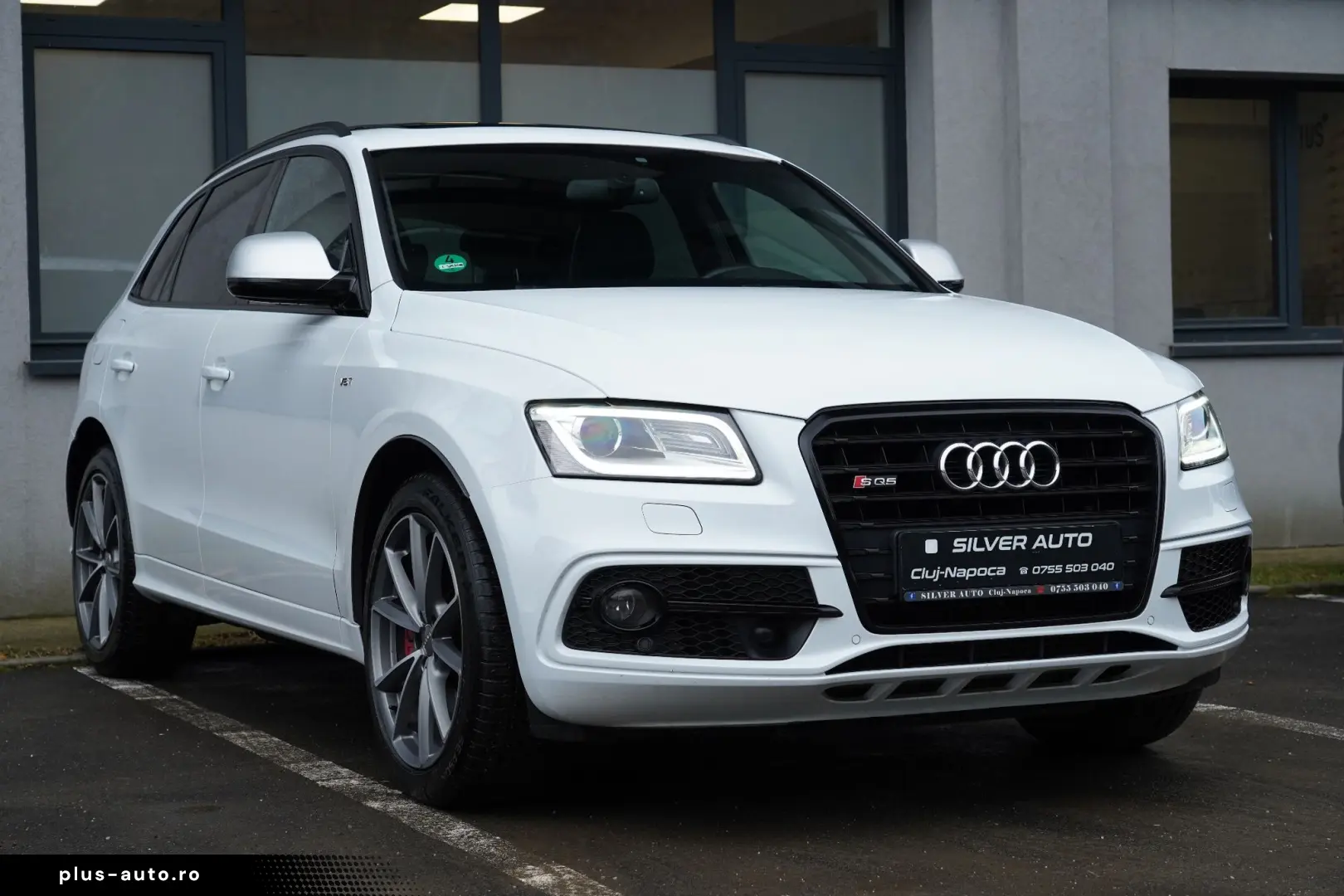 Audi Sq5 Gen-8R-2013-2017
