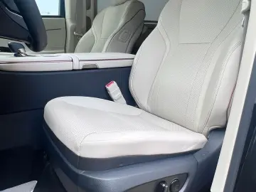 LEXUS LM 350 h Executive