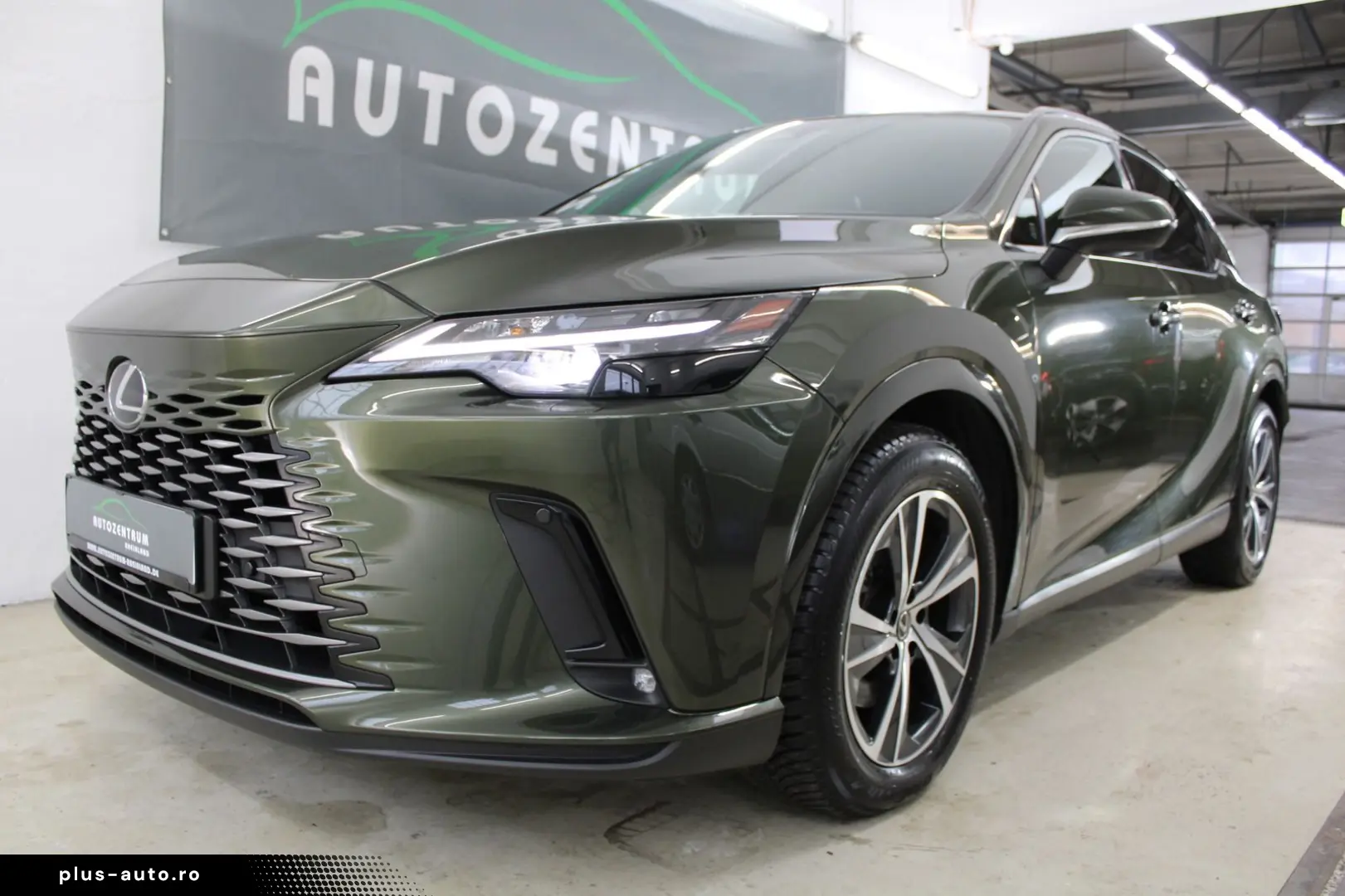 LEXUS RX 450 h  E-FOUR Business Line PlugIn AHK Kamera