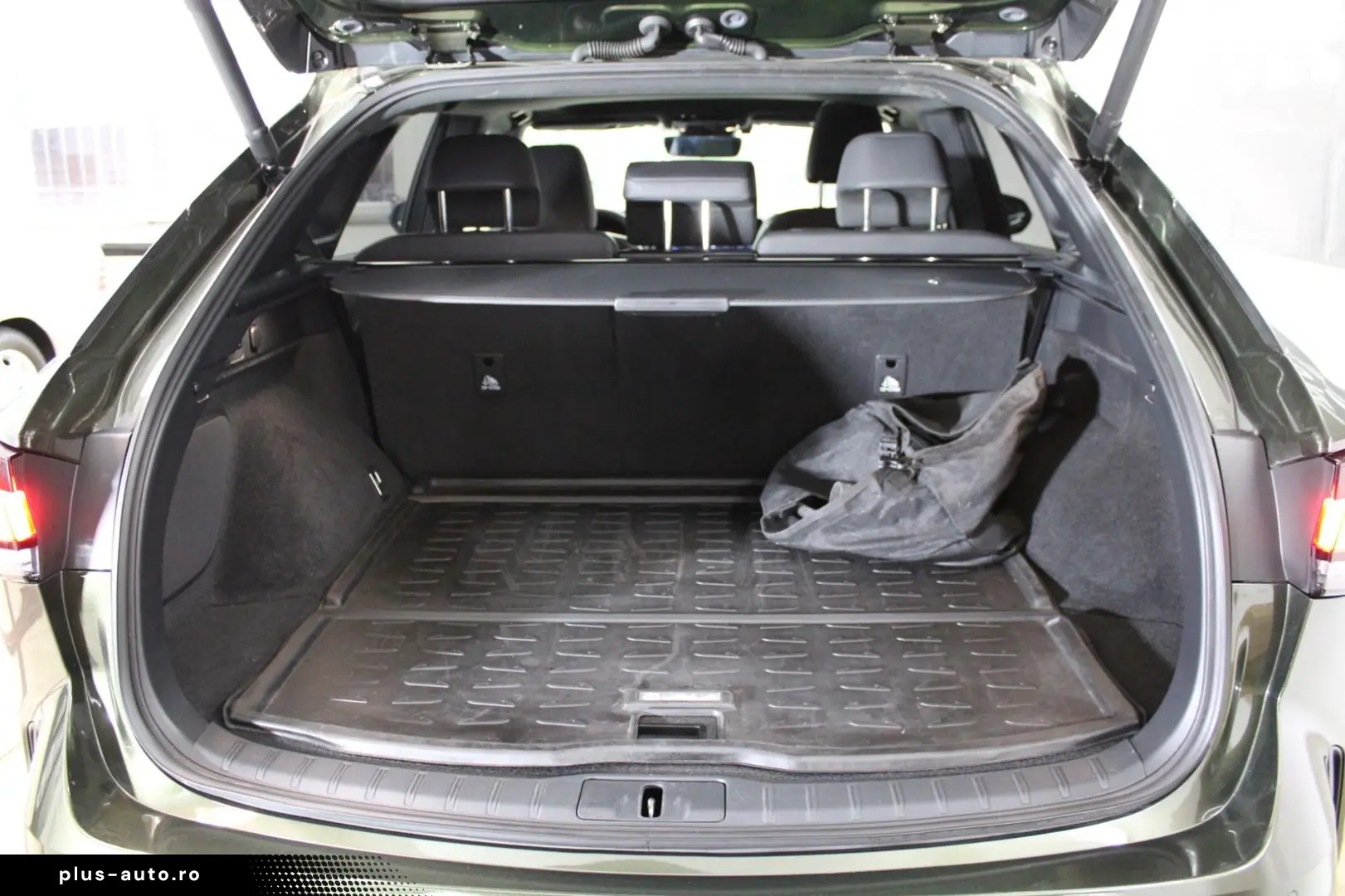 LEXUS RX 450 h  E-FOUR Business Line PlugIn AHK Kamera