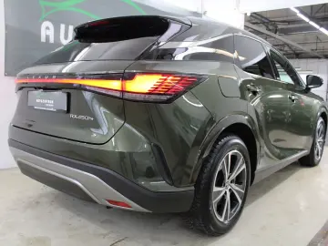 LEXUS RX 450 h  E-FOUR Business Line PlugIn AHK Kamera