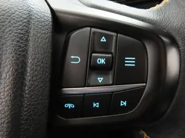 FORD Ranger 3.0 Aut. 4x4 Wildtrak AHK ACC 360 Kamera