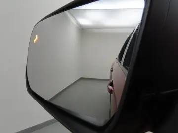 FORD Ranger 3.0 Aut. 4x4 Wildtrak AHK ACC 360 Kamera