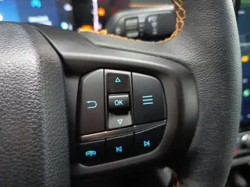 Ford Ranger 3 0 l EcoBlue Double Cab Autm. Wildtrak