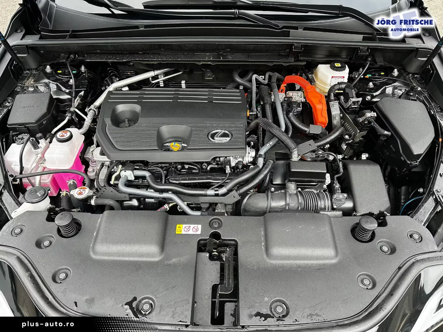 Lexus NX 350h E-Four Business