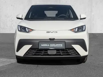 BYD Dolphin Surf Boost Navi Kamera Leder