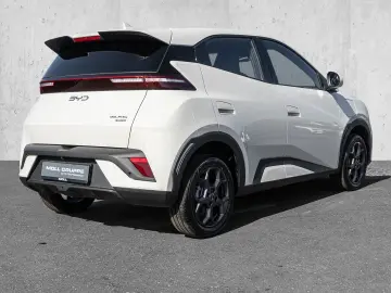 BYD Dolphin Surf Boost Navi Kamera Leder