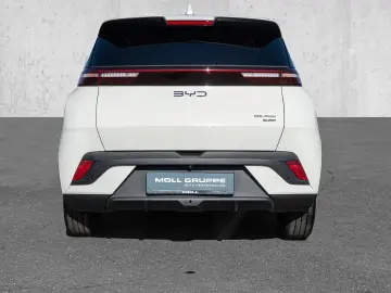 BYD Dolphin Surf Boost Navi Kamera Leder