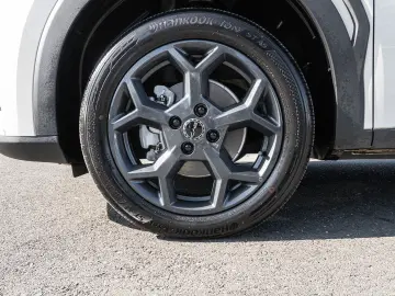 BYD Dolphin Surf Boost Navi Kamera Leder