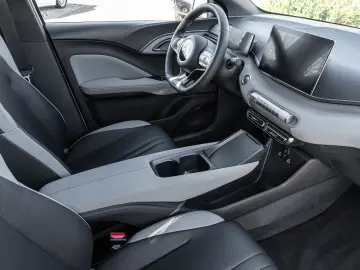 BYD Dolphin Surf Boost Navi Kamera Leder