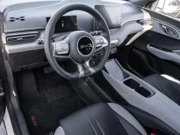 BYD Dolphin Surf Boost Navi Kamera Leder