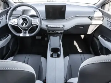 BYD Dolphin Surf Boost Navi Kamera Leder