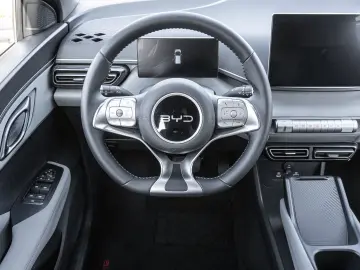 BYD Dolphin Surf Boost Navi Kamera Leder