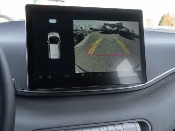 BYD Dolphin Surf Boost Navi Kamera Leder