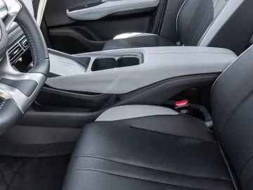 BYD Dolphin Surf Boost Navi Kamera Leder