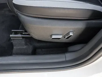 BYD Dolphin Surf Boost Navi Kamera Leder