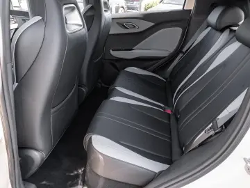 BYD Dolphin Surf Boost Navi Kamera Leder