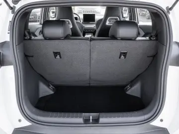 BYD Dolphin Surf Boost Navi Kamera Leder