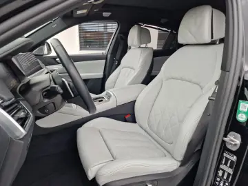 BMW X6 xDrive30d Panorama AHK B&W Standheizung Rollo