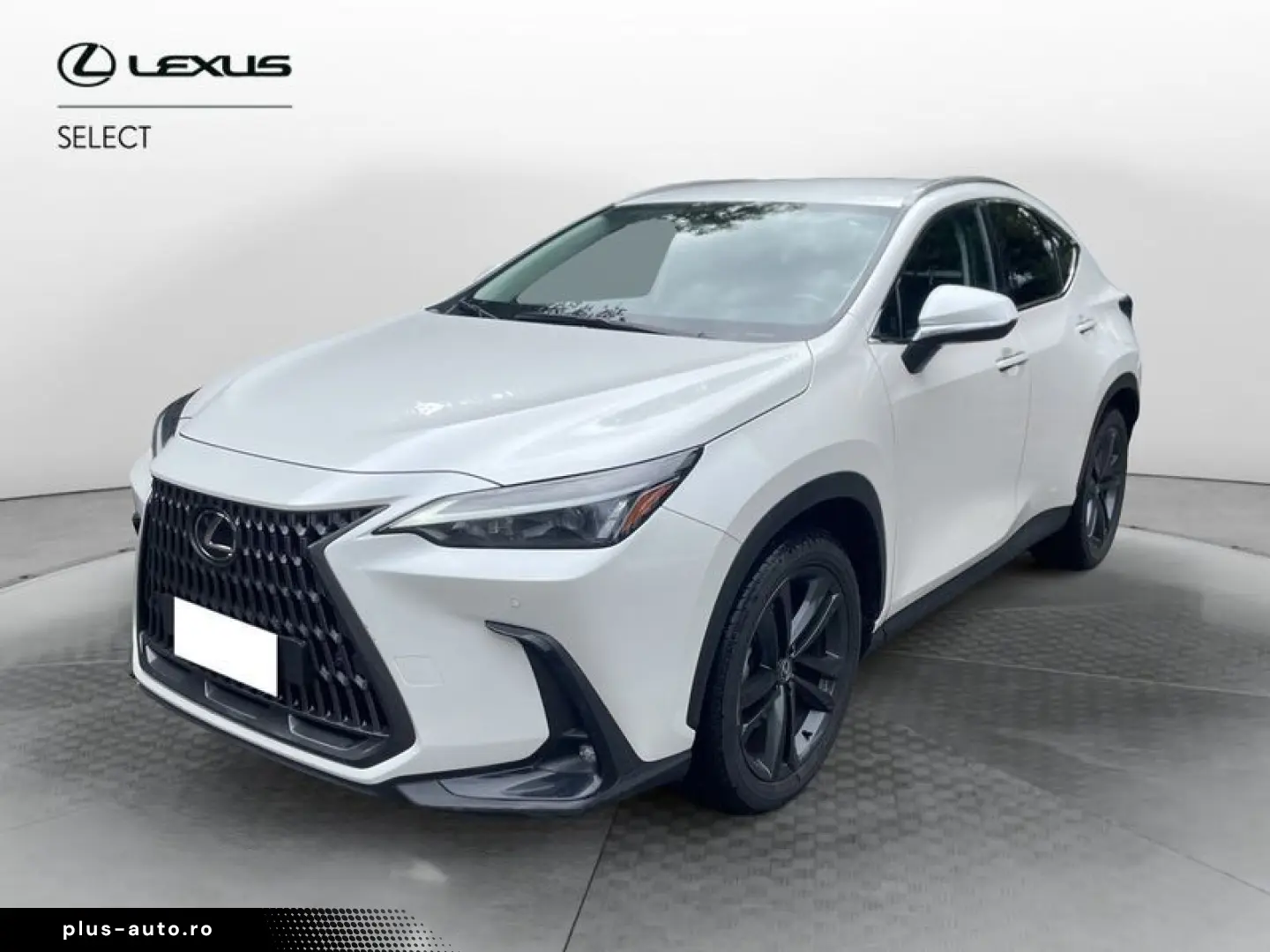 ANDERE Lexus NX NX 350 Hybrid 4WD VENDUTA