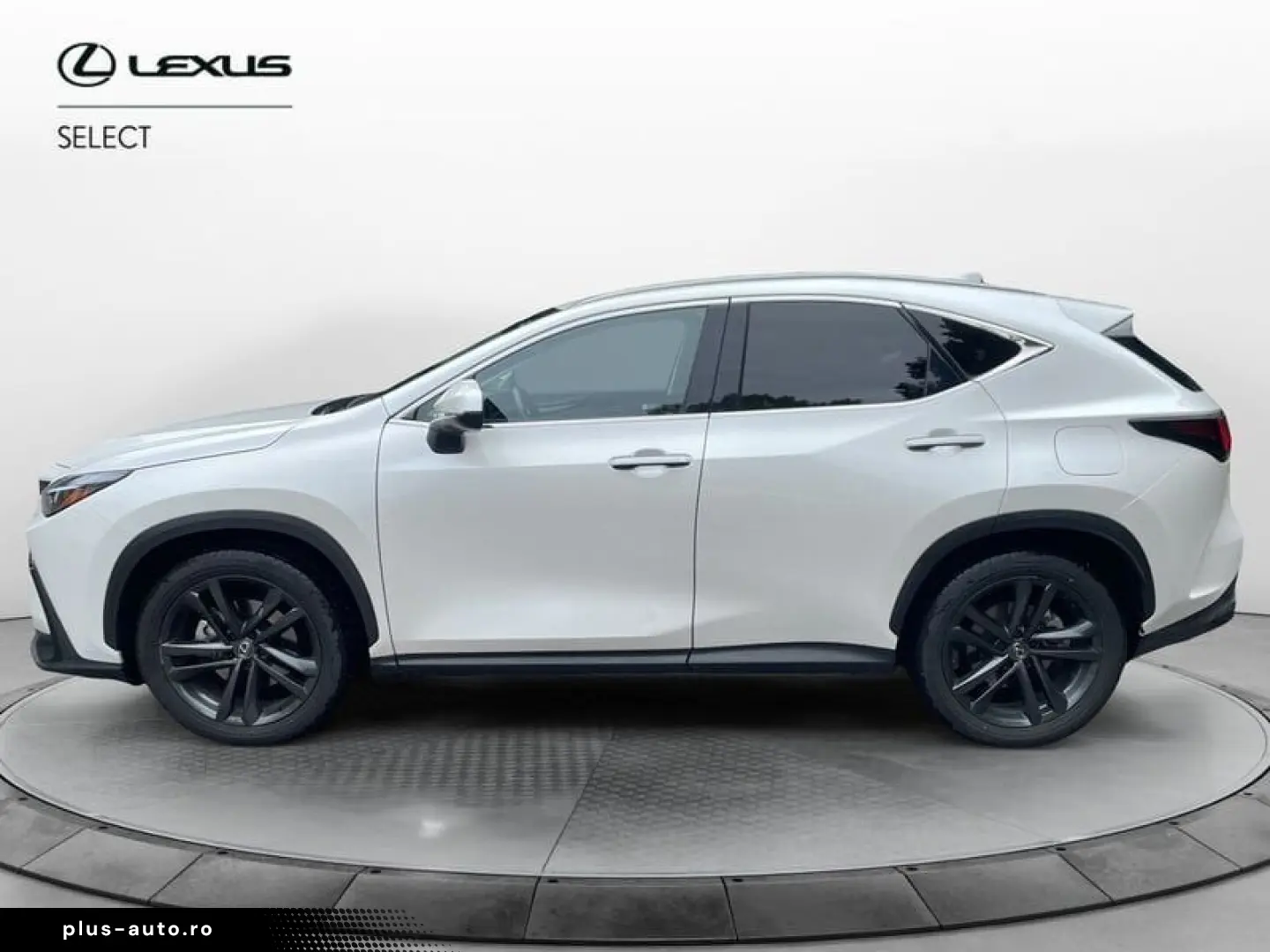 ANDERE Lexus NX NX 350 Hybrid 4WD VENDUTA