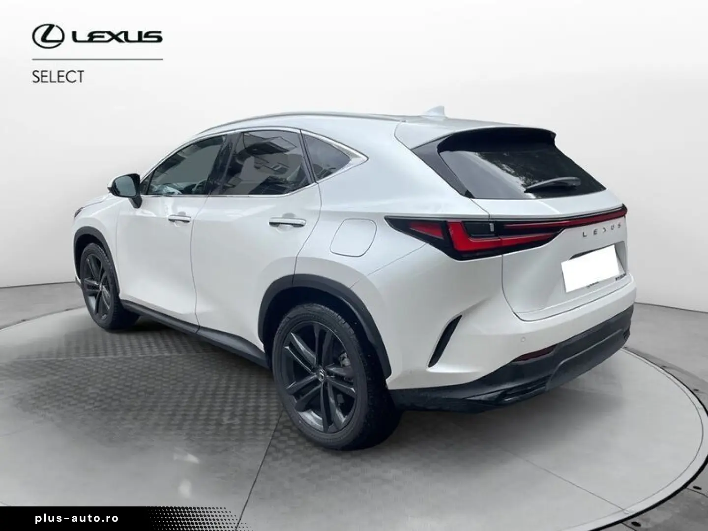 ANDERE Lexus NX NX 350 Hybrid 4WD VENDUTA
