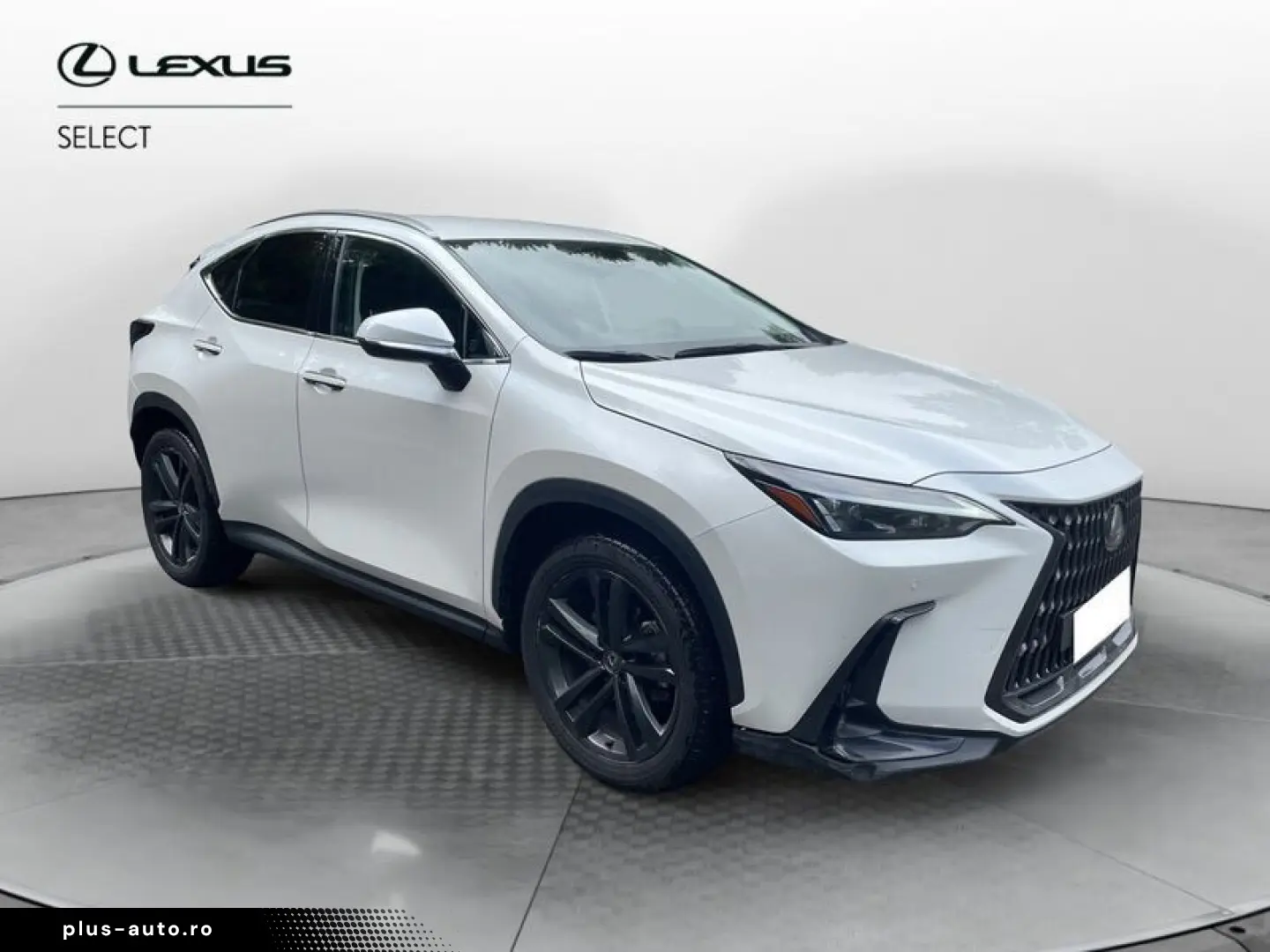 ANDERE Lexus NX NX 350 Hybrid 4WD VENDUTA